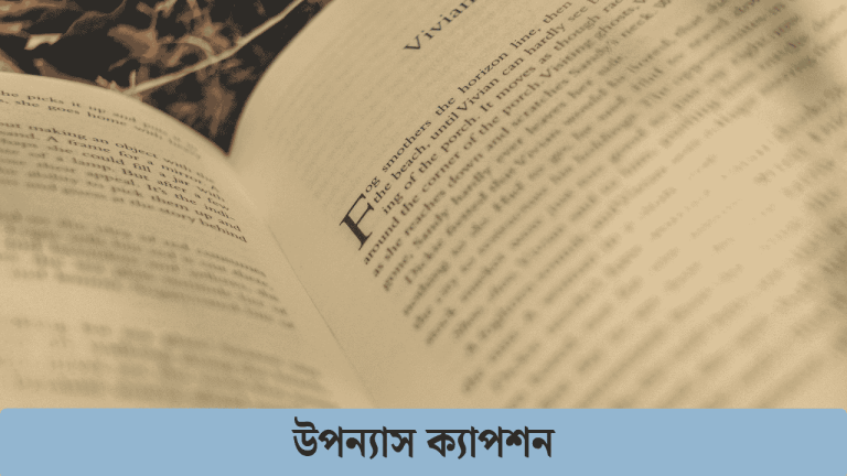 উপন্যাস ক্যাপশন