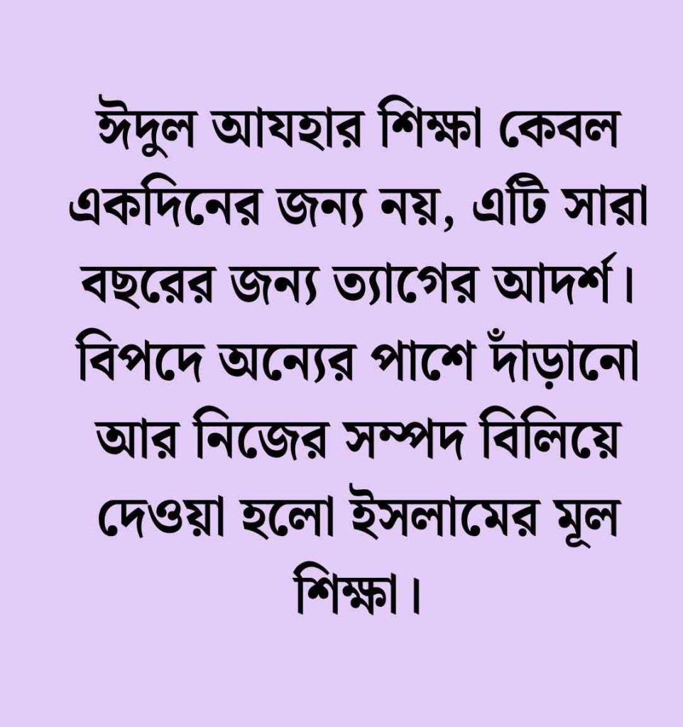 120+ কোরবানির গরু নিয়ে স্ট্যাটাস, ক্যাপশন ও উক্তি 2026 কোরবানি নিয়ে উক্তি