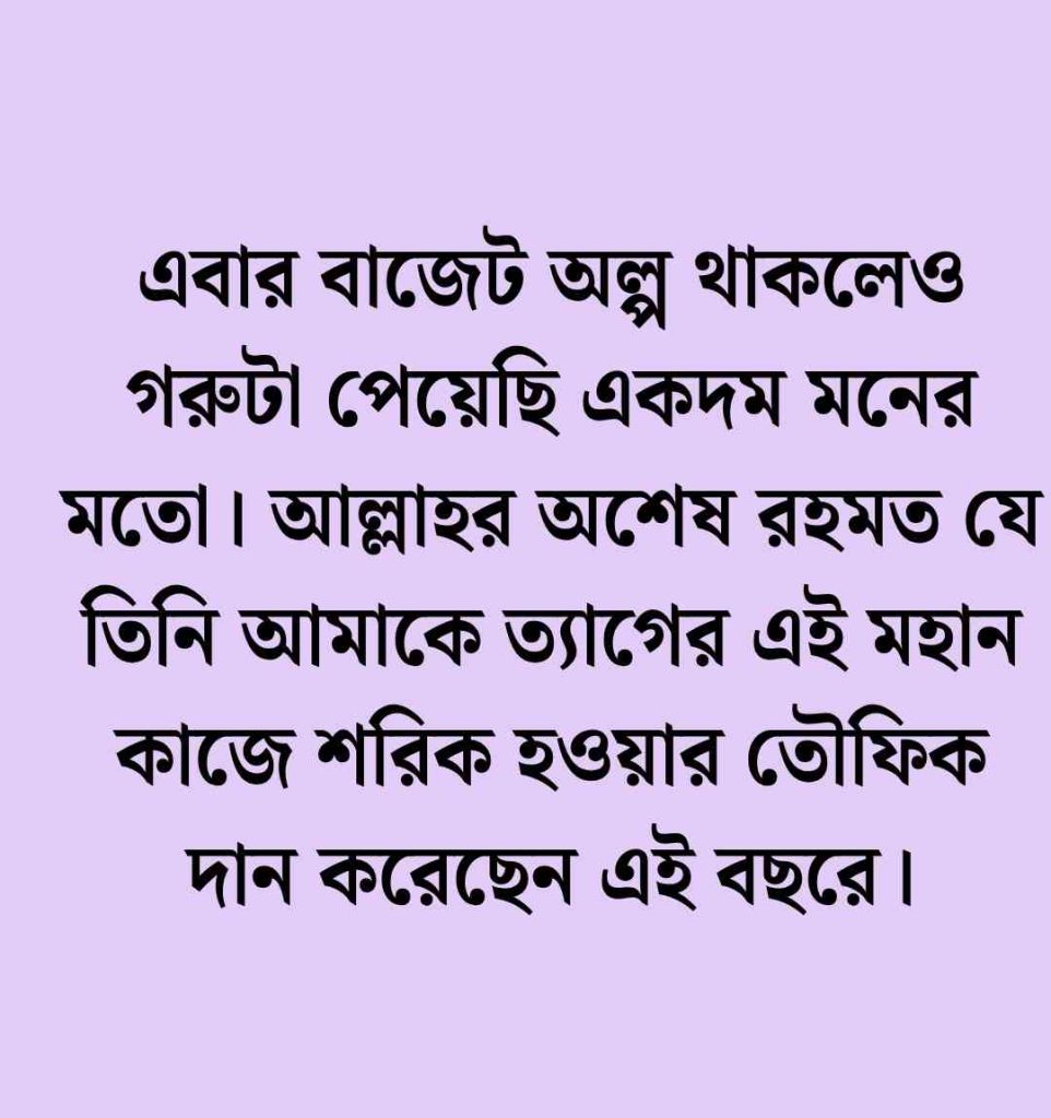 120+ কোরবানির গরু নিয়ে স্ট্যাটাস, ক্যাপশন ও উক্তি 2026 কোরবানির গরু নিয়ে স্ট্যাটাস