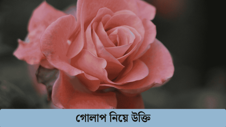 গোলাপ নিয়ে উক্তি