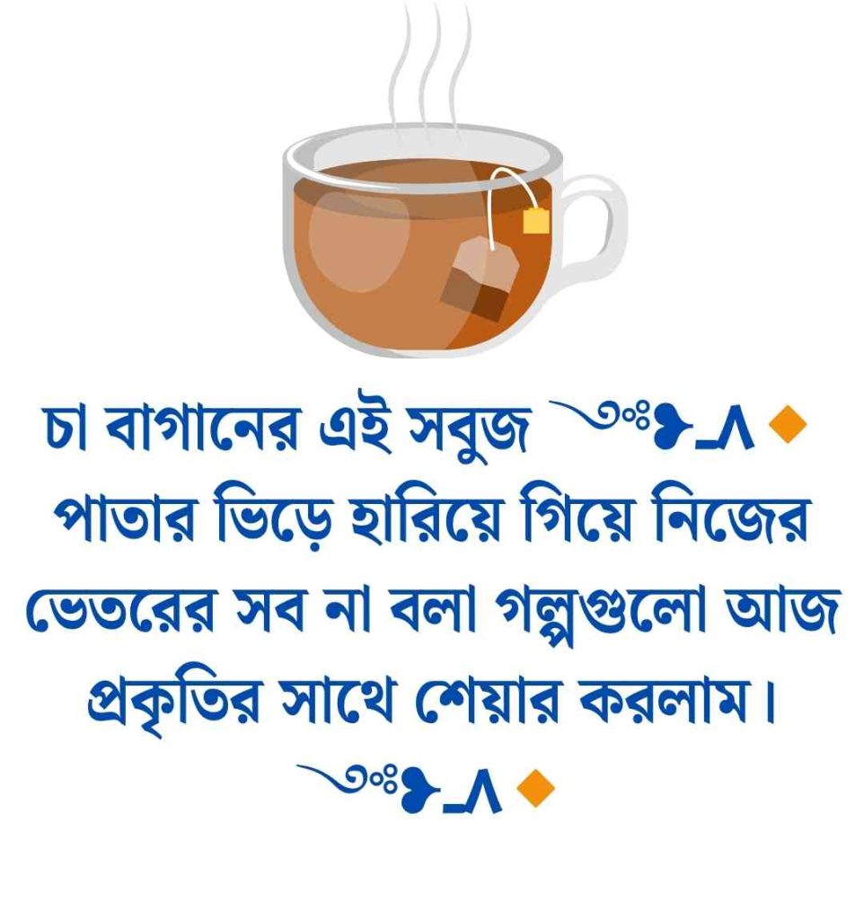 চা বাগান নিয়ে ক্যাপশন: 200+ শ্রীমঙ্গল চা বাগান নিয়ে ক্যাপশন ও স্ট্যাটাস 2026 চা বাগান নিয়ে ক্যাপশন