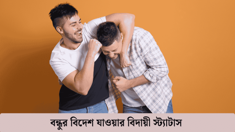 বন্ধু বিদেশ যাওয়ার স্ট্যাটাস ছোট