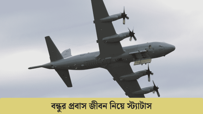 বন্ধুর প্রবাস জীবন নিয়ে স্ট্যাটাস