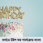 বার্থডে উইশ ফর গার্লফ্রেন্ড বাংলা