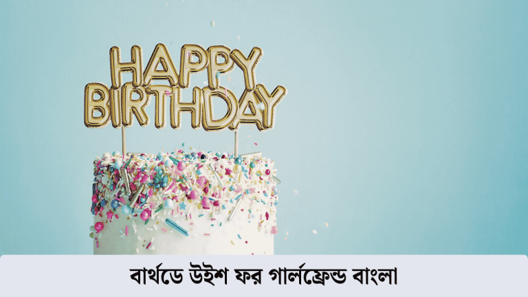 বার্থডে উইশ ফর গার্লফ্রেন্ড বাংলা