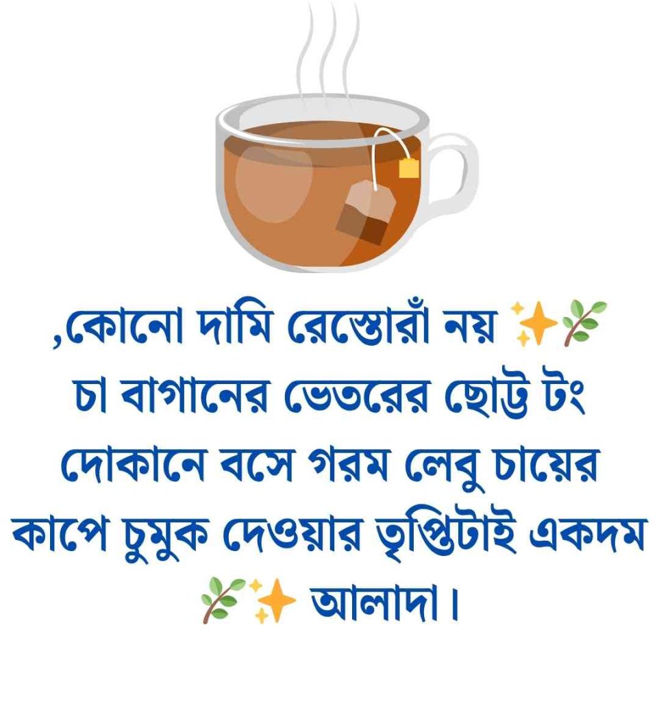 চা বাগান নিয়ে ক্যাপশন: 200+ শ্রীমঙ্গল চা বাগান নিয়ে ক্যাপশন ও স্ট্যাটাস 2026 শ্রীমঙ্গল চা বাগান নিয়ে ক্যাপশন
