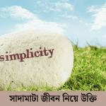 সাদামাটা জীবন নিয়ে উক্তি