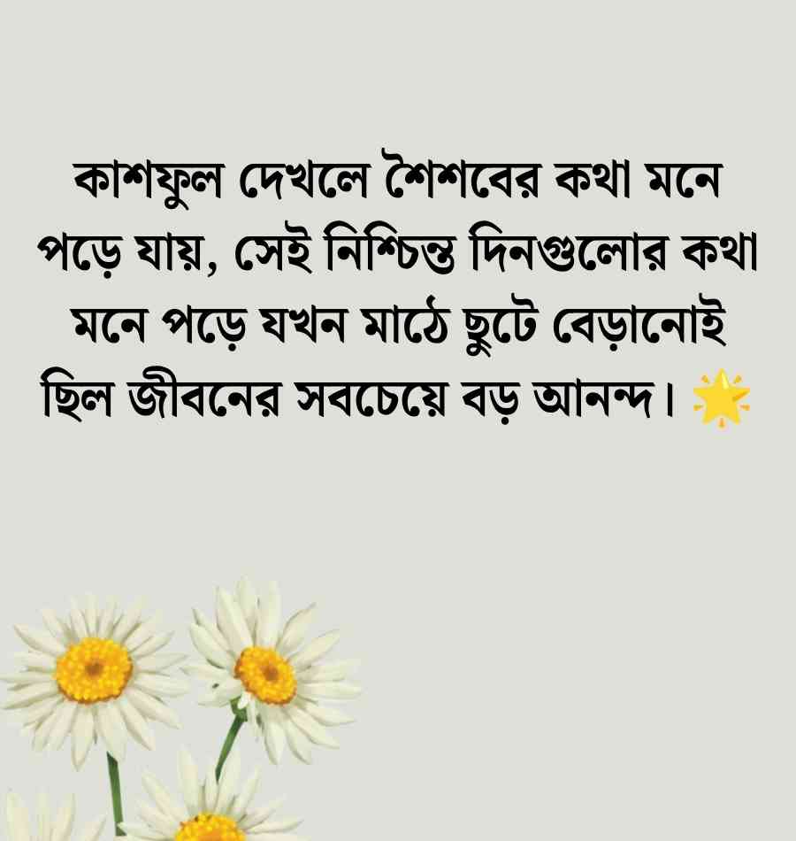 150+ কাশফুল নিয়ে ক্যাপশন: কাশফুল নিয়ে ক্যাপশন English স্ট্যাটাস 2026 শরতের কাশফুল নিয়ে ক্যাপশন