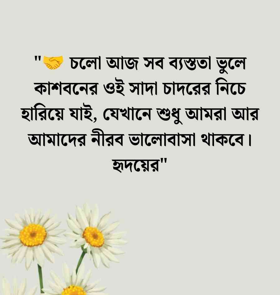 150+ কাশফুল নিয়ে ক্যাপশন: কাশফুল নিয়ে ক্যাপশন English স্ট্যাটাস 2026 কাশফুল নিয়ে ক্যাপশন