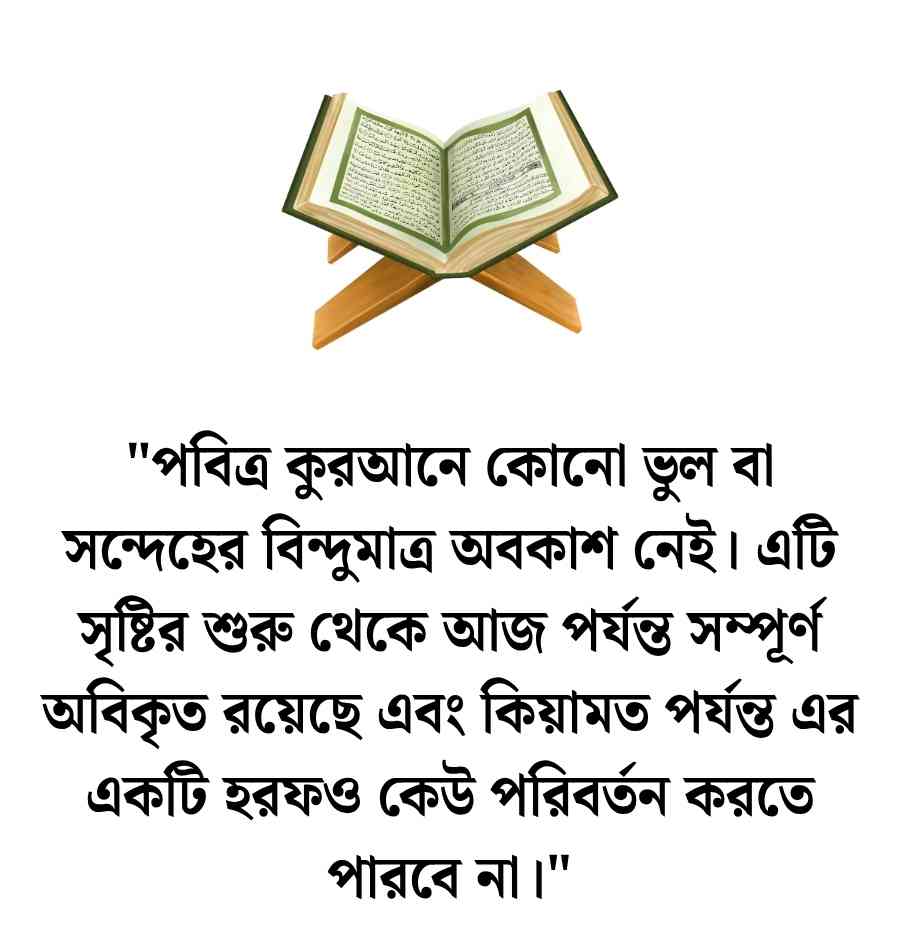100+ কুরআন নিয়ে উক্তি, স্ট্যাটাস ও ক্যাপশন 2026 কুরআন নিয়ে উক্তি