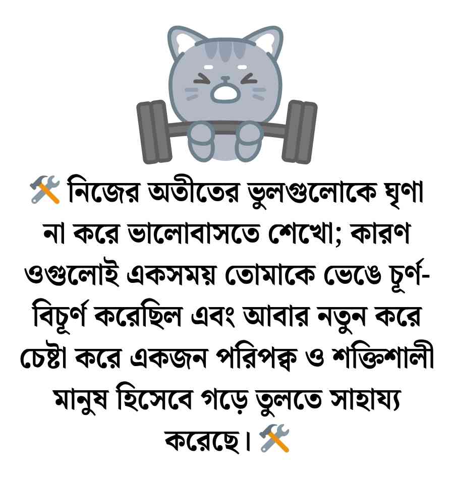 ১৫০+ চেষ্টা নিয়ে উক্তি, স্ট্যাটাস ও ক্যাপশন ২০২৬ চেষ্টা নিয়ে উক্তি