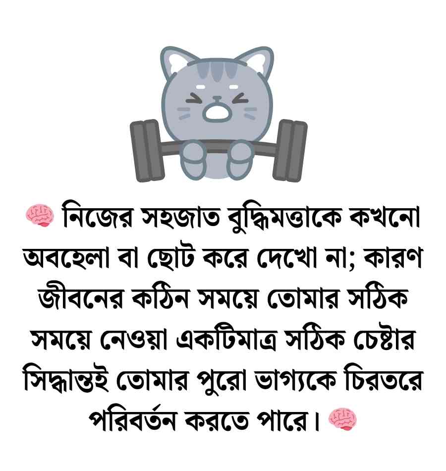 ১৫০+ চেষ্টা নিয়ে উক্তি, স্ট্যাটাস ও ক্যাপশন ২০২৬ চেষ্টা নিয়ে উক্তি