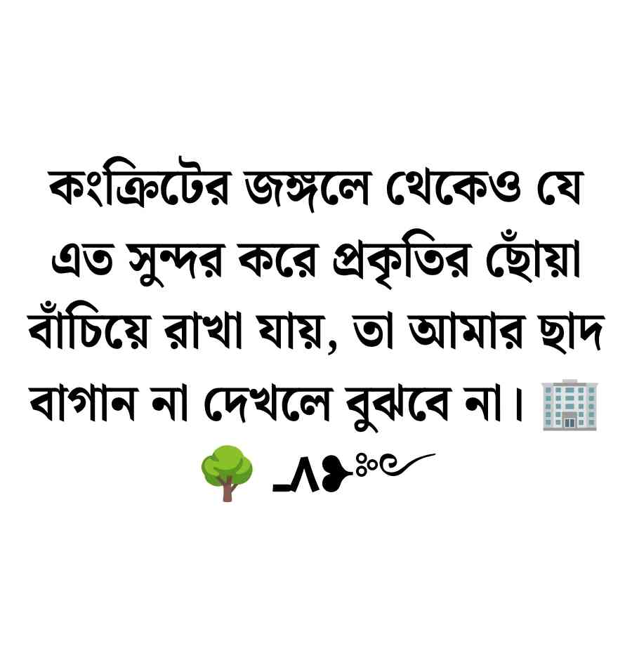 120+ বাগান নিয়ে ক্যাপশন: ফুল বাগান নিয়ে ক্যাপশন ও ছাদ বাগান নিয়ে ক্যাপশন ২০২৬ ছাদ বাগান নিয়ে ক্যাপশন