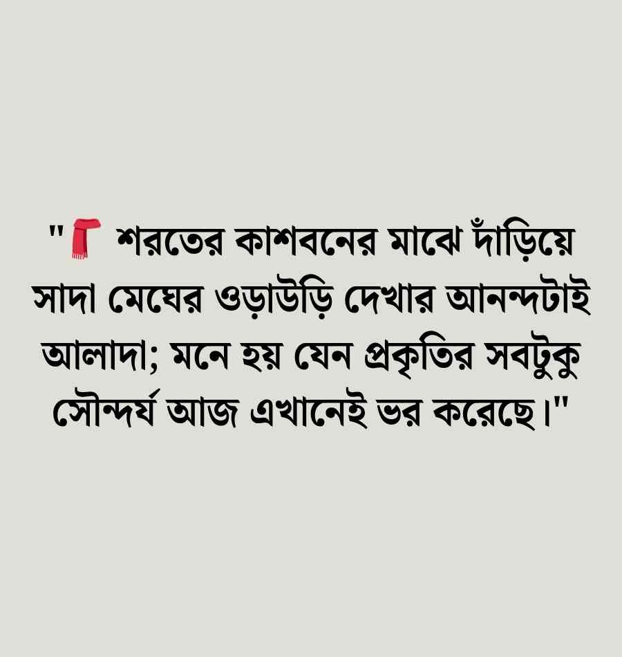 150+ বাংলা ক্যাপশন ফেসবুকের ছবির জন্য সেরা স্ট্যাটাস 2026 বাংলা ক্যাপশন ফেসবুকের ছবির জন্য