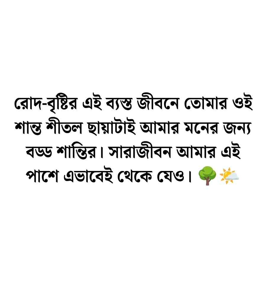 ভালোবাসার মানুষকে কাছে পাওয়ার মেসেজ নতুন ১০০টি ভালোবাসার মানুষকে কাছে পাওয়ার মেসেজ