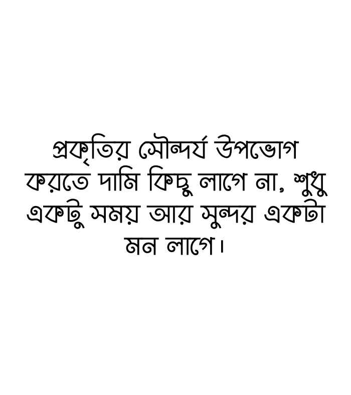 400+ প্রকৃতি নিয়ে ক্যাপশন, স্ট্যাটাস ও উক্তি 2026 প্রকৃতি নিয়ে ক্যাপশন